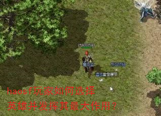 haosf������ѡ��Ӣ�۲�������������ã�