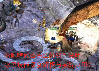 �������ܷ񶳽�BOSS����ʦ��ϵ������Ƚ�����ʵսӦ�ã�