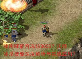 �������ܷ񶳽�BOSS����ʦ��ϵ������Ƚ�����ʵսӦ�ã�