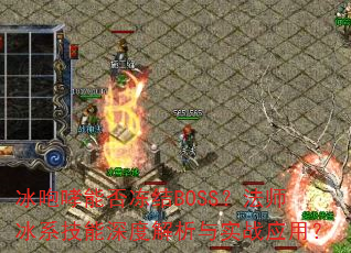 �������ܷ񶳽�BOSS����ʦ��ϵ������Ƚ�����ʵսӦ�ã�