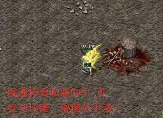 ��ͨ����˽��PVP���������д裬ɵɵ�ֲ��壿