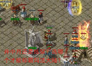 �����»���������ѡ�ĸ����ܳư��귨��½��