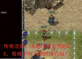 ���淨ʦ��������������BOSS����ɶ��Ϊ��֪�ļ�����