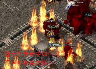 ��ʿ�ڴ��������ϰ���ٻ����޼��ܣ�