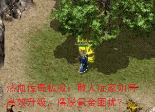 ��Ѫ����˽����ɢ�������θ�Ч����������봽����ţ�