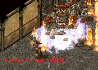 ����ˢ���£�Ѫ������������