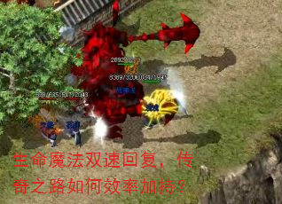 ����ħ��˫�ٻظ�������֮·���Ч�ʼӳ֣�