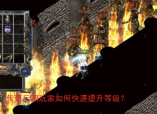 ������������ο��������ȼ���