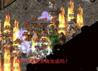 ��ʦ��Ĳ���Ҫ׼ȷ�ӳ���