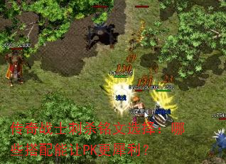 ����սʿ��ɱ����ѡ����Щ��������PK��Ϭ����