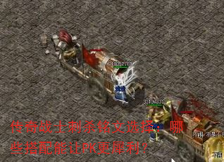 ����սʿ��ɱ����ѡ����Щ��������PK��Ϭ����