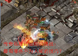 ����˽���ռ�BOSS��ս��������Щ��Ϊ��֪�ļ��ɣ�