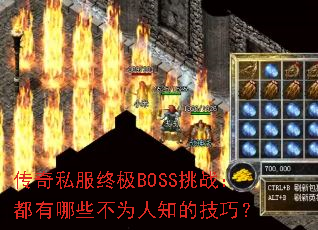 ����˽���ռ�BOSS��ս��������Щ��Ϊ��֪�ļ��ɣ�