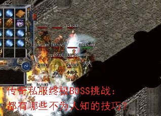 ����˽���ռ�BOSS��ս��������Щ��Ϊ��֪�ļ��ɣ�