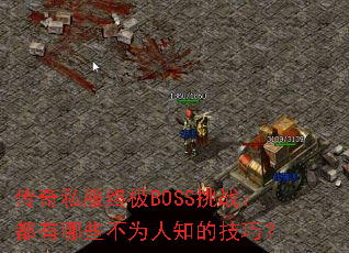 ����˽���ռ�BOSS��ս��������Щ��Ϊ��֪�ļ��ɣ�