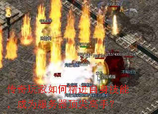 ���������ξ����������ܣ���Ϊ������������֣�