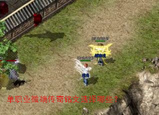 ��ְҵ΢�˴�������ѡ����Щ��