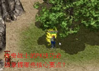 ����սʿ��PK���ɱ���������Щ����Ҫ�㣿