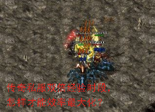 ����˽��˫������ʱ�Σ���������Ч����󻯣�