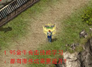 1.95��ţ�ϻ�����ѧϰ��������Щ����Ҫ�ܿ���