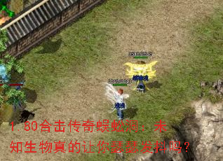 1.80�ϻ�������򼶴��δ֪�����������ɪɪ������