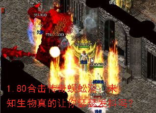 1.80�ϻ�������򼶴��δ֪�����������ɪɪ������