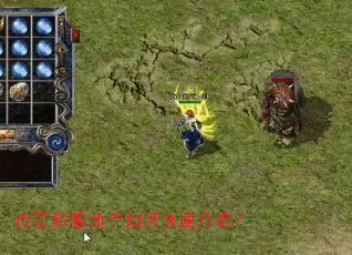 ����˽��������ο���������