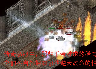 ����˽���У���Щǧ�������ϡ���ؽ䣬���Ǹ��Զ�ӵ����Щ������������ܡ�