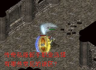 ����˽������ְҵѡ������Щ������������