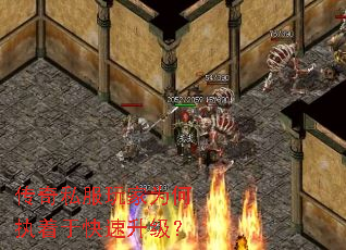 ����˽�����Ϊ��ִ���ڿ���������