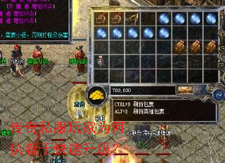 ����˽�����Ϊ��ִ���ڿ���������