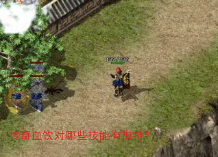 ����Ѫ������Щ�����мӳ֣�