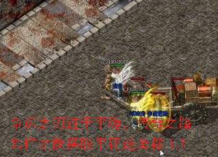 ����֮�й���ƽ�ȣ�����֮·�������ܰ���ƽӹ��Ϯ������