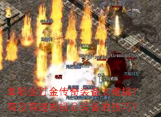 ��ְҵ�����װ��̫�Ѹ㣿��û����ˢ��Ʒװ���ļ��ɣ�