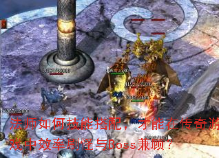 ��ʦ��μ��ܴ��䣬�����ڴ�����Ϸ��Ч��ˢ����Boss��ˣ�