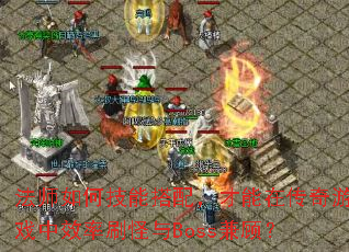 ��ʦ��μ��ܴ��䣬�����ڴ�����Ϸ��Ч��ˢ����Boss��ˣ�