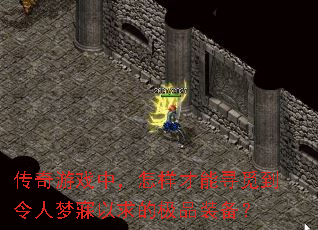 ������Ϸ�У���������Ѱ�ٵ�������������ļ�Ʒװ����