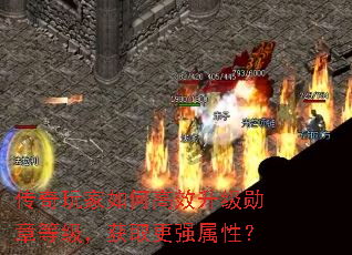 ���������θ�Ч����ѫ�µȼ�����ȡ��ǿ���ԣ�