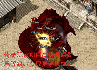 ���������θ�Ч����ѫ�µȼ�����ȡ��ǿ���ԣ�