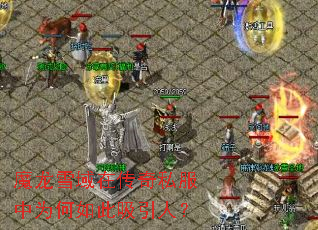 ħ��ѩ���ڴ���˽����Ϊ����������ˣ�