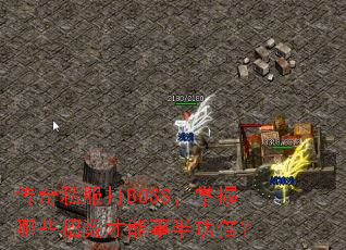 ����˽����BOSS��������Щ���������°빦����