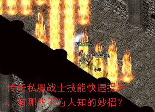 ����˽��սʿ���ܿ�������������Щ��Ϊ��֪�����У�