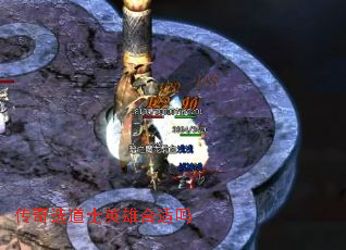 ����ѡ��ʿӢ�ۺ�����