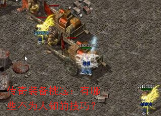 ����װ����ѡ������Щ��Ϊ��֪�ļ��ɣ�