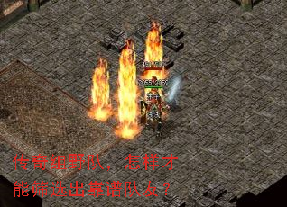 ������Ұ�ӣ���������ɸѡ�����׶��ѣ�