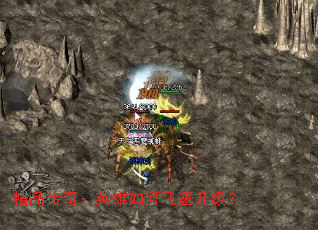 ��Ʒ���棺Ӣ����η���������