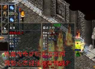 ��Ѫ����SF��Ҹ���ε�����̬ӭ��ս����ս��