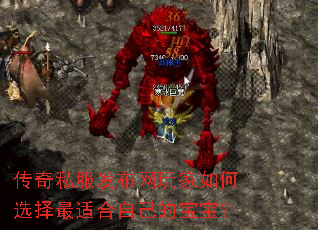 ����˽��������������ѡ�����ʺ��Լ��ı�����