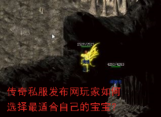 ����˽��������������ѡ�����ʺ��Լ��ı�����