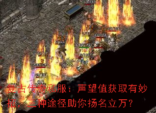 ���Ŵ���˽��������ֵ��ȡ�����У�����;��������������